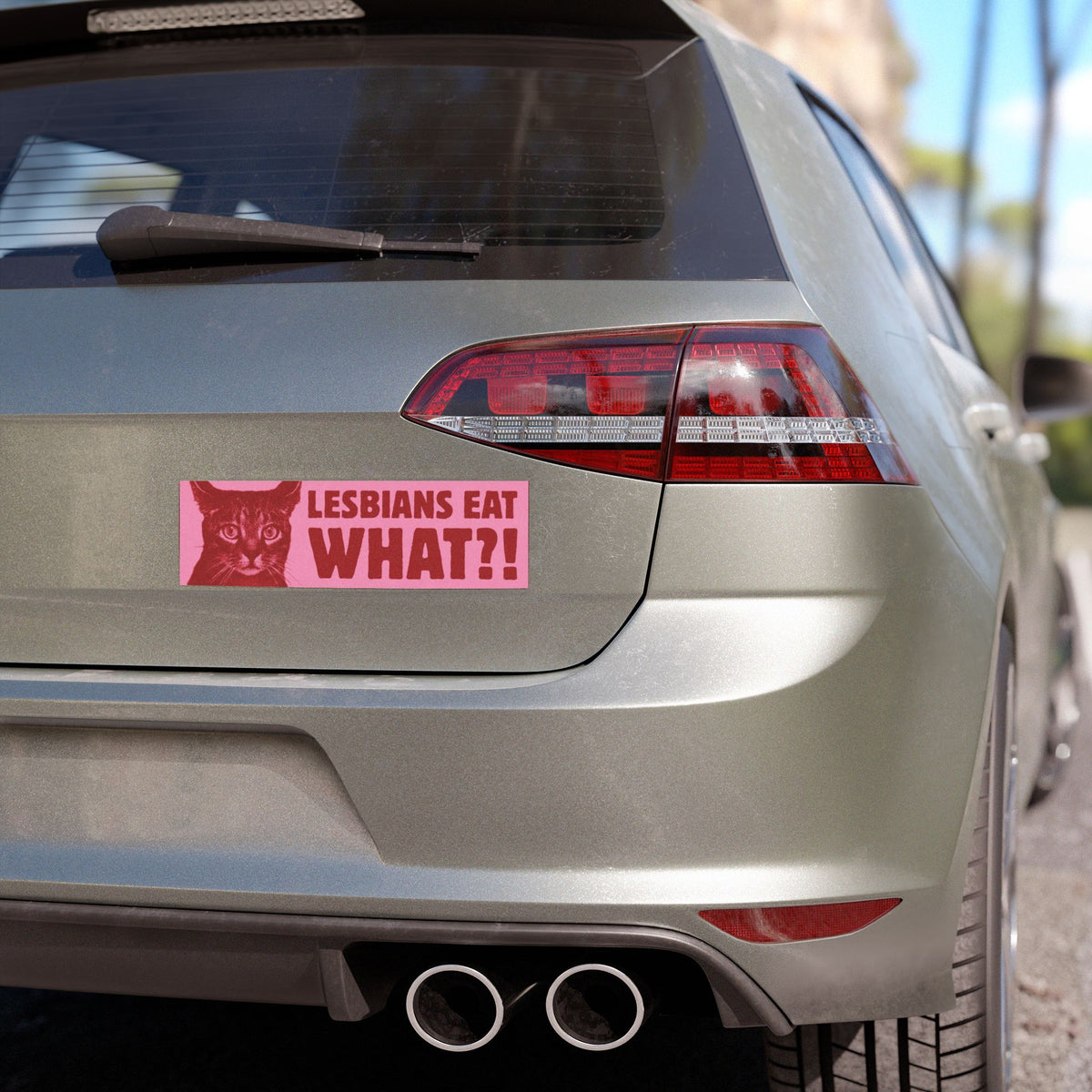 Lesbians Eat What?! Bumper Sticker/Magnet