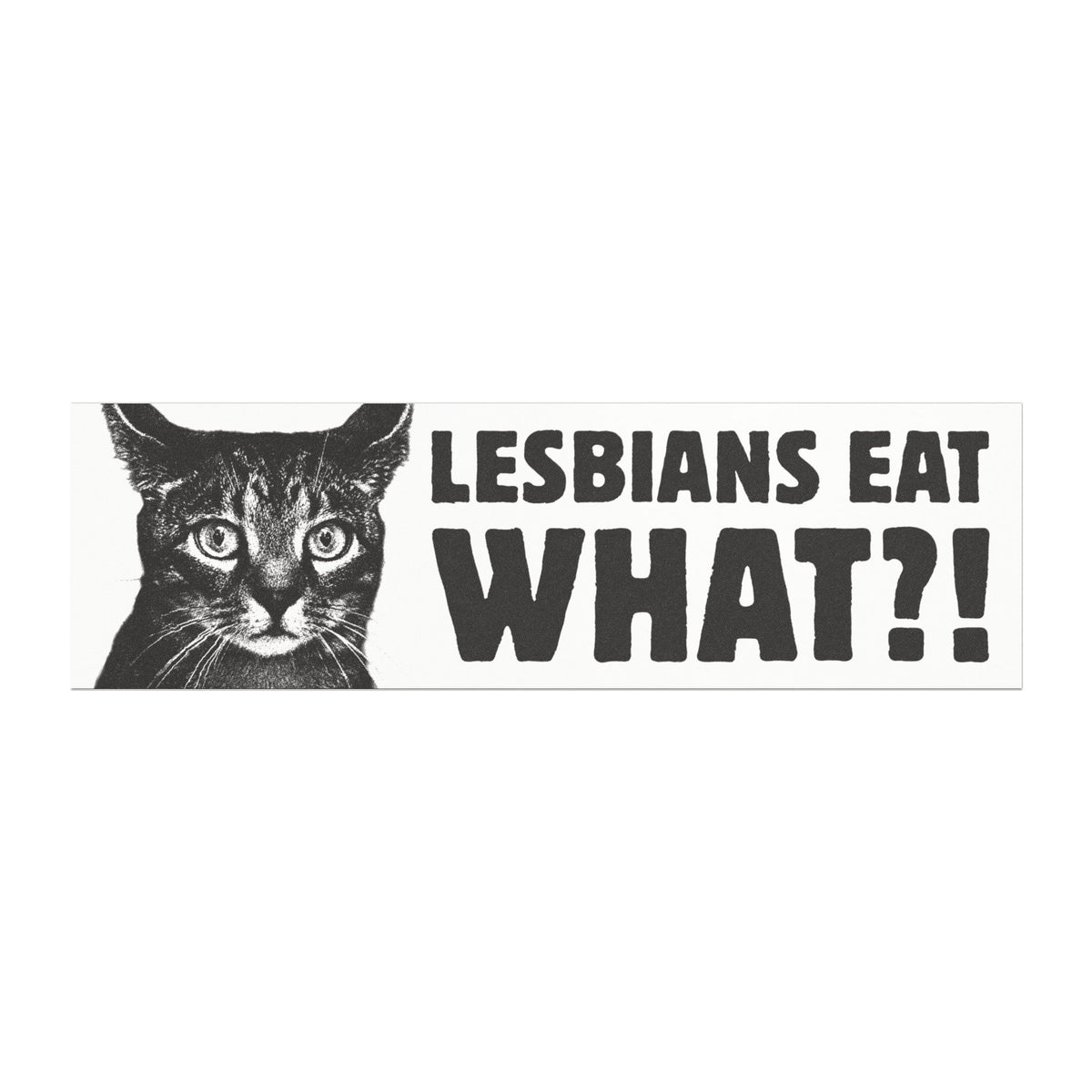 Lesbians Eat What?! B&W Bumper Sticker/Magnet