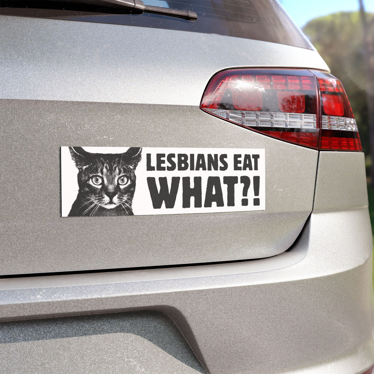 Lesbians Eat What?! B&W Bumper Sticker/Magnet