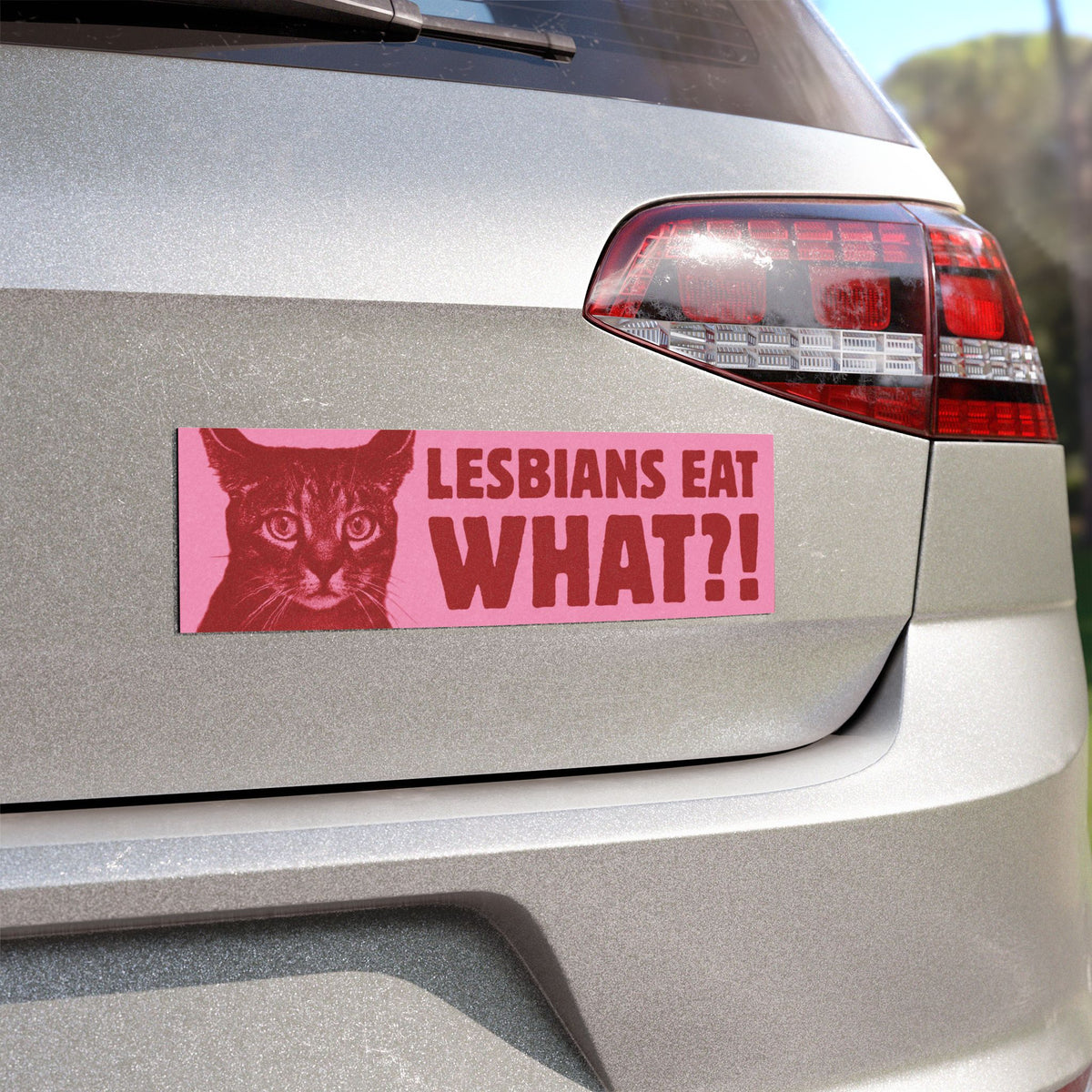 Lesbians Eat What?! Bumper Sticker/Magnet