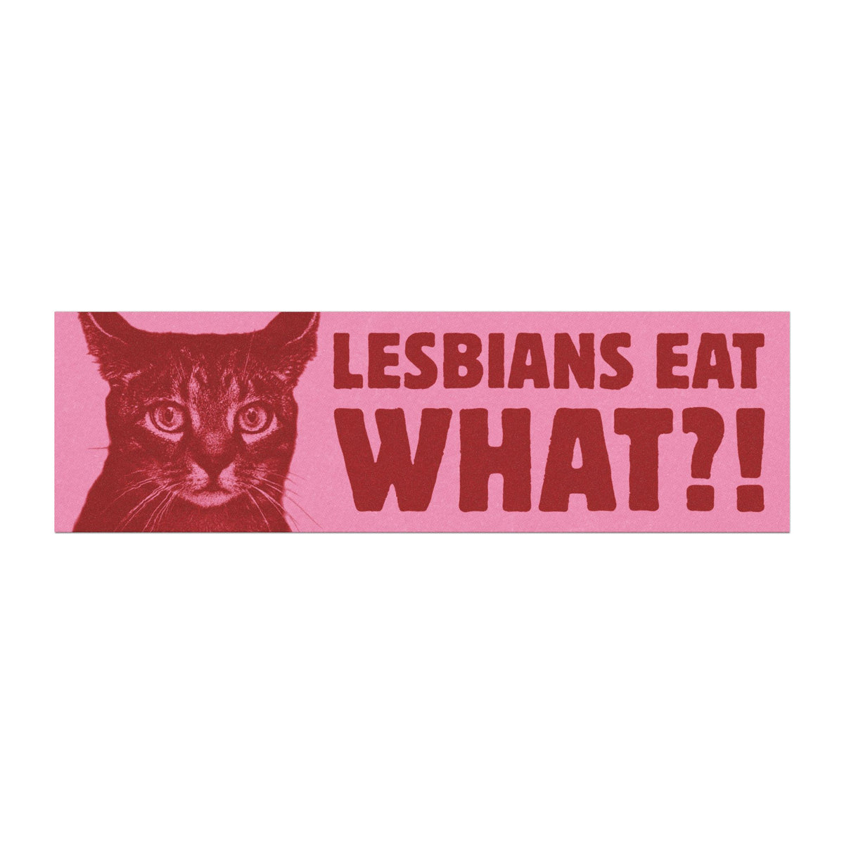 Lesbians Eat What?! Bumper Sticker/Magnet